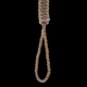 Illustration for article titled The Noose Is Loose: Racist Symbol Found Inside Auburn University’s Dormitory